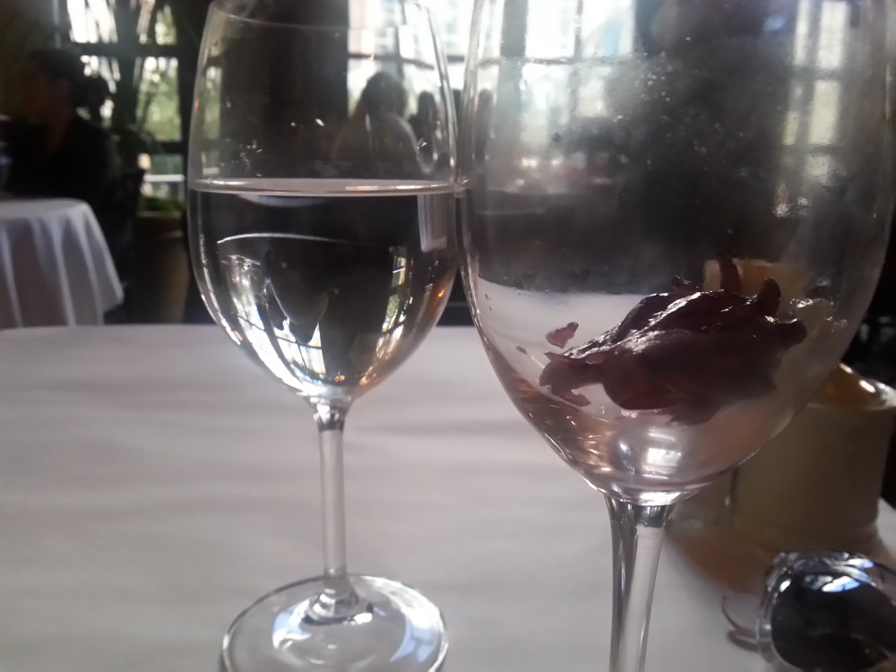 20160203_100116_LLS[1]