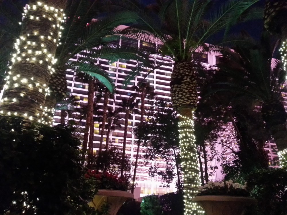 20160203_223209_LLS[1]