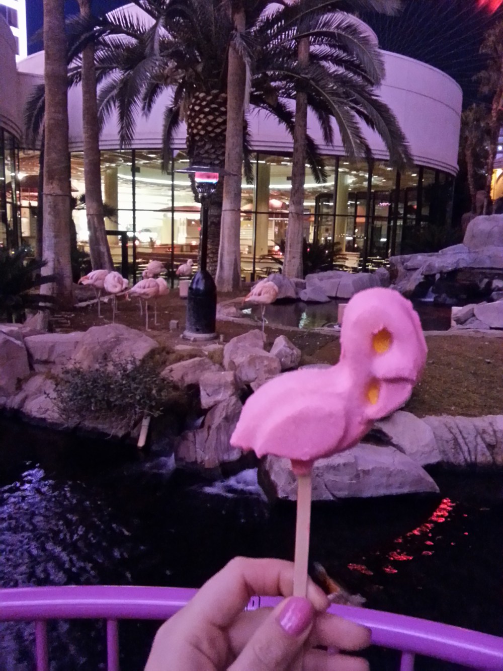 20160203_224415_LLS[1]